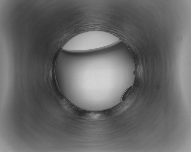 X0000113330570200909141009