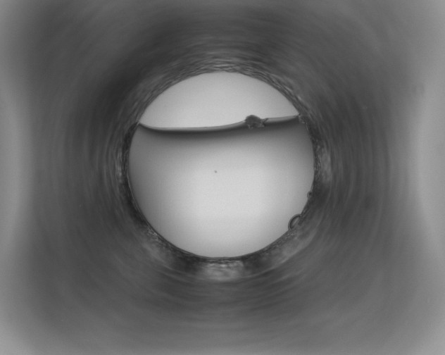 X0000113330571200909141009
