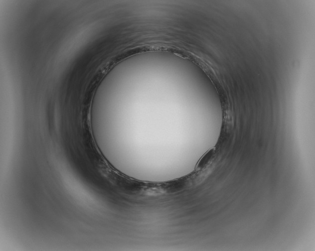 X0000113330572200909141009