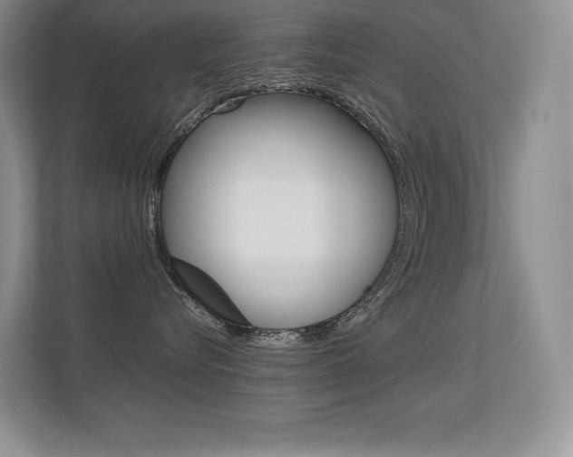X0000113330576200909141010