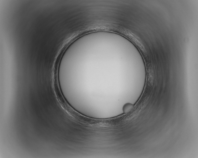 X0000113330578200909141009
