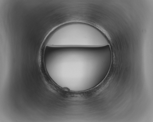 X0000113330580200909141009