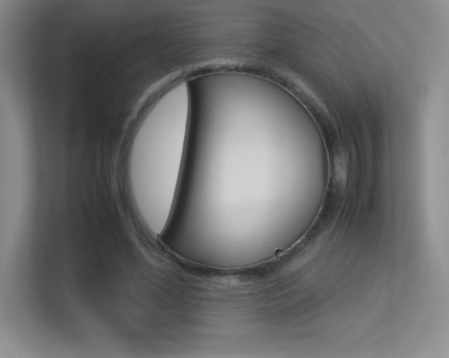 X0000113330588200909141009