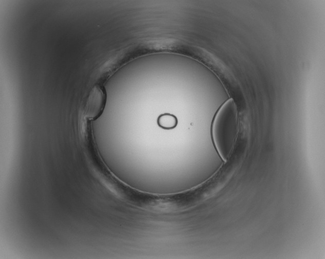 X0000113330589200909141009