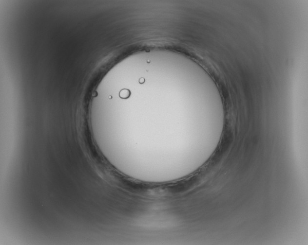 X0000113330591200909141009