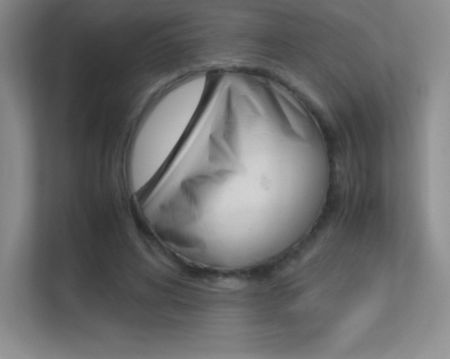 X0000113330592200909141009