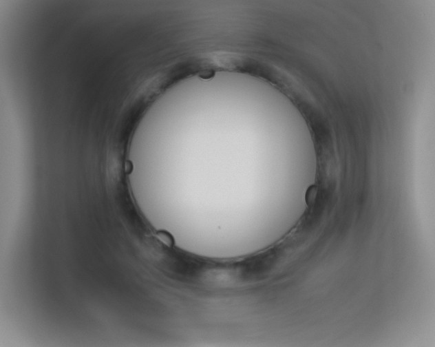 X0000113330595200909141009
