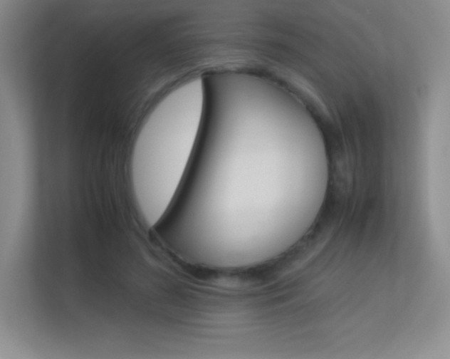 X0000113330596200909141009