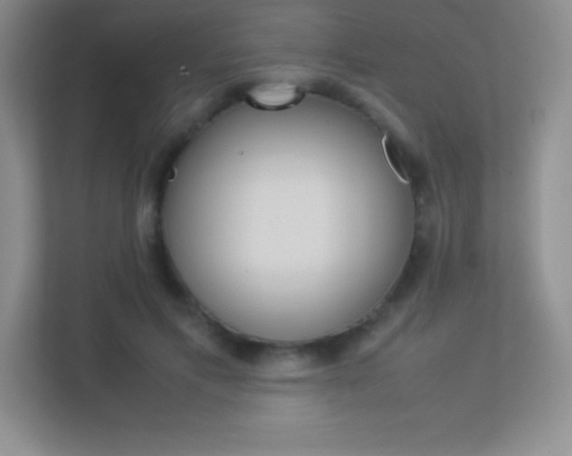 X0000113330597200909141009
