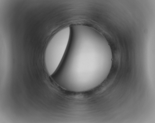 X0000113330600200909141009