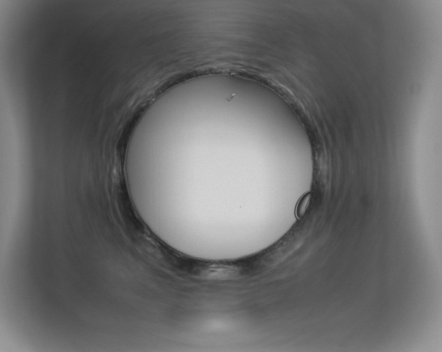 X0000113330617200909141008