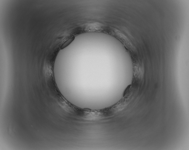 X0000113330621200909141008
