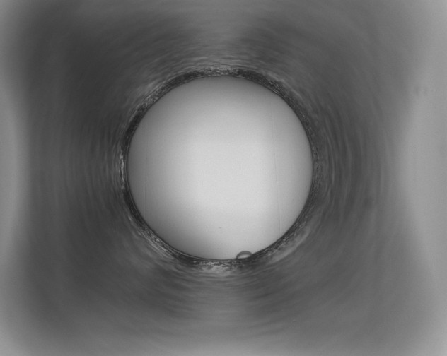 X0000113330624200909141008