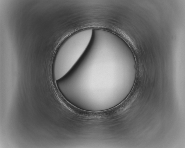 X0000113330625200909141008