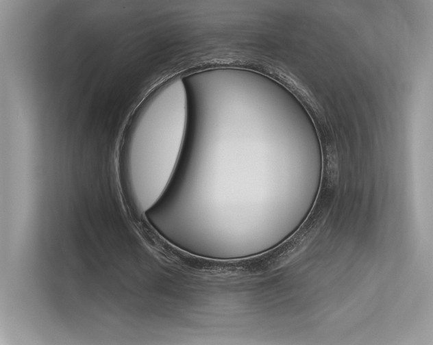 X0000113330626200909141008