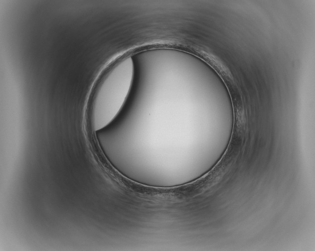X0000113330628200909141008