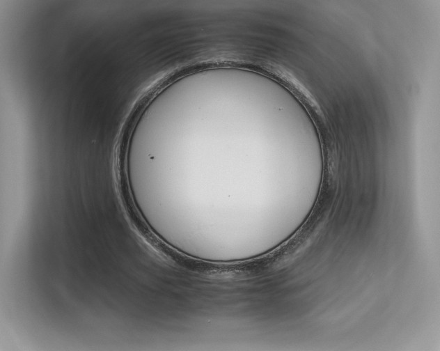X0000113330629200909141008