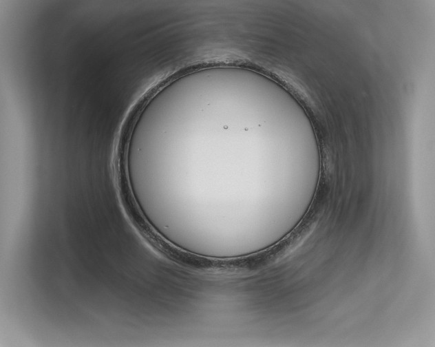 X0000113330630200909141008