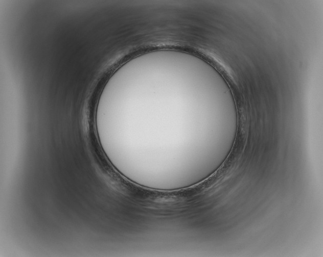 X0000113330631200909141008