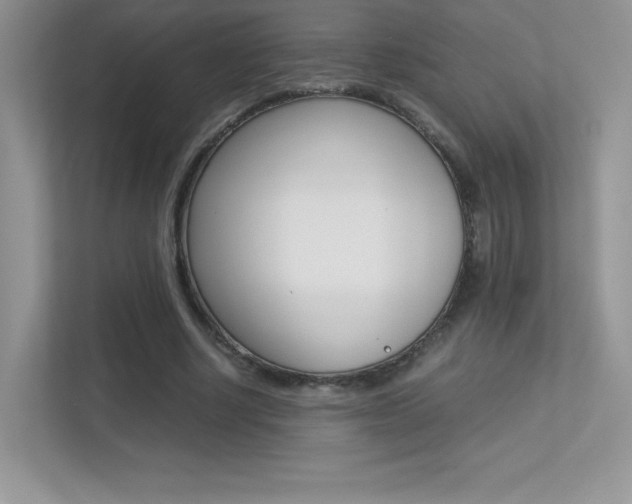 X0000113330634200909141008