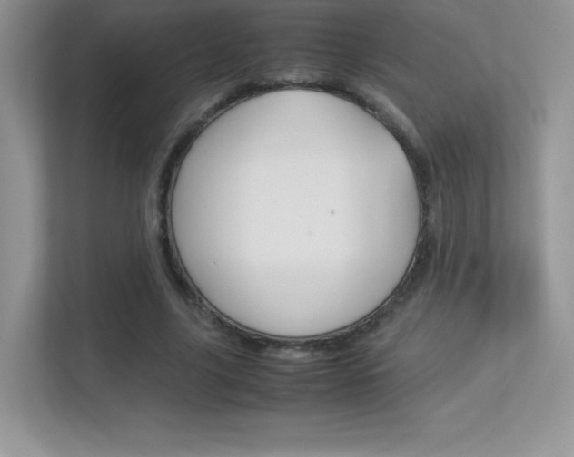 X0000113330635200909141008