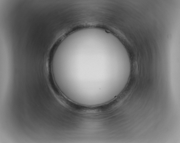 X0000113330638200909141008
