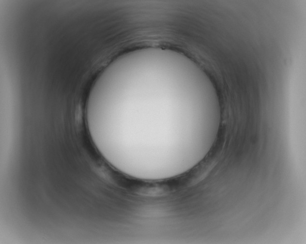 X0000113330646200909141008