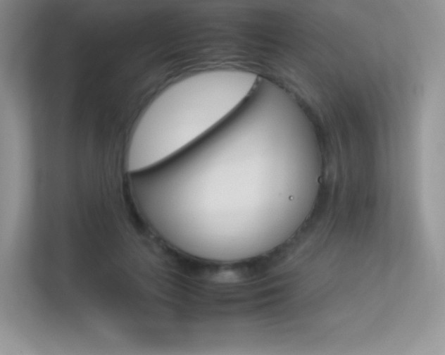 X0000113330647200909141008