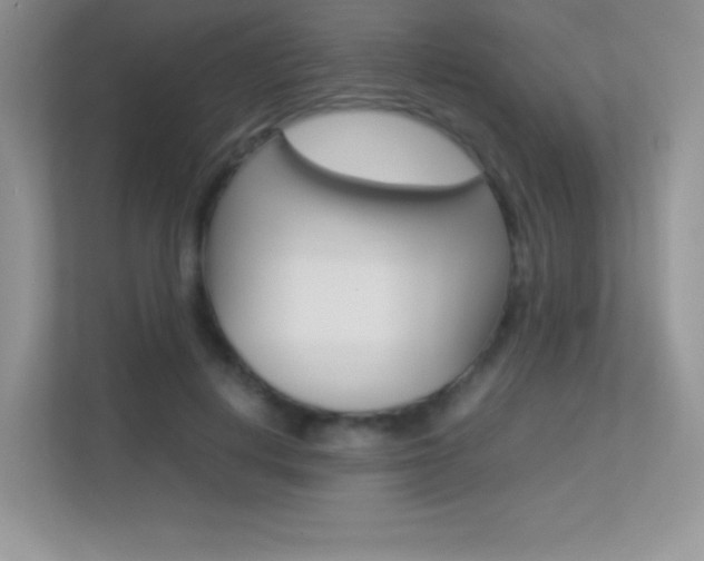 X0000113330648200909141008