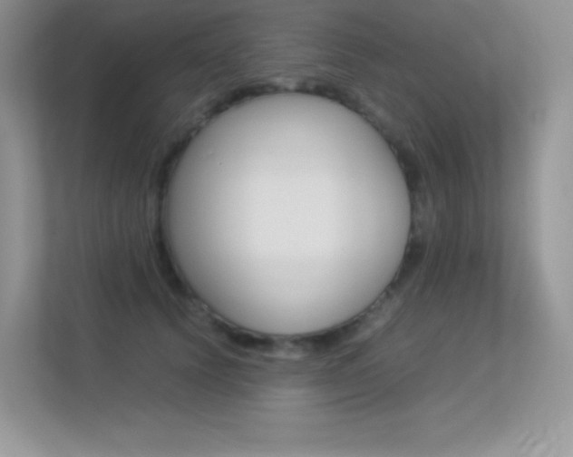 X0000113330656200909141008