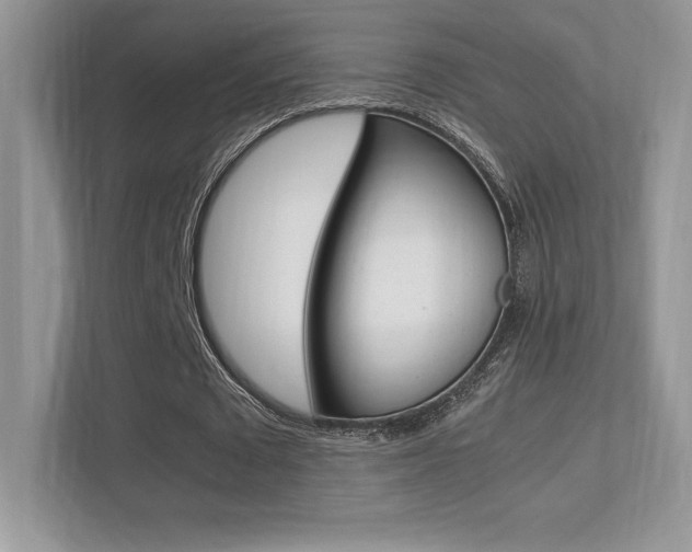 X0000113330673200909141008