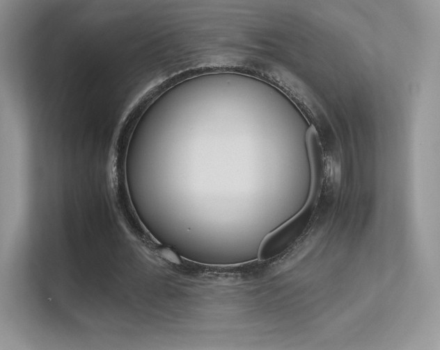X0000113330676200909141008