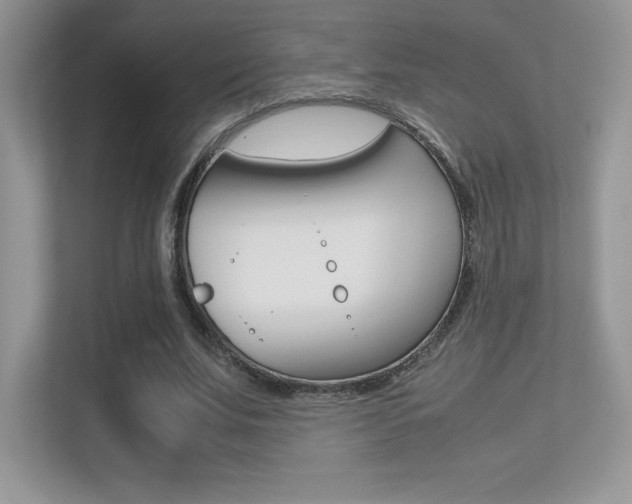 X0000113330679200909141008