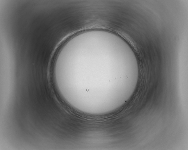 X0000113330680200909141008