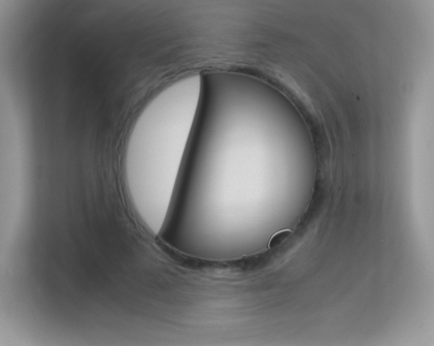 X0000113330689200909141007