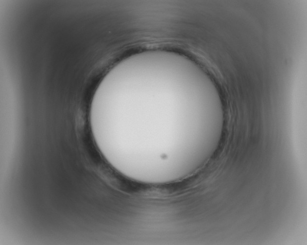 X0000113330691200909141007