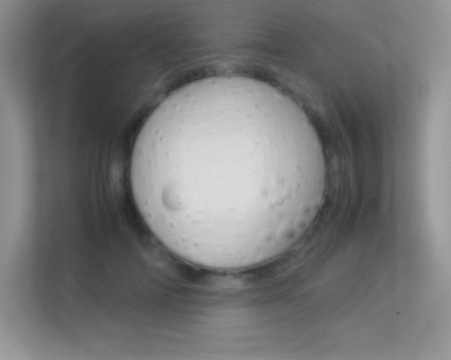 X0000113330698200909141007
