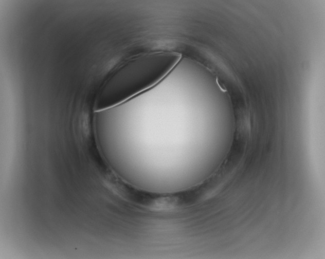 X0000113330700200909141007
