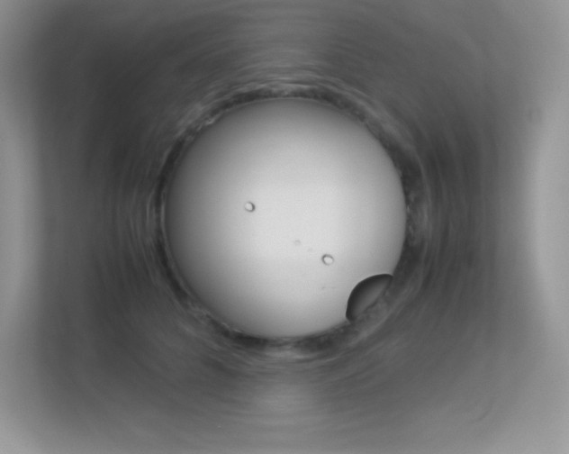 X0000113330704200909141007