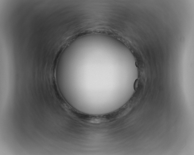 X0000113330708200909141007
