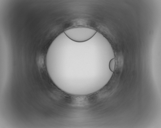 X0000113330709200909141007