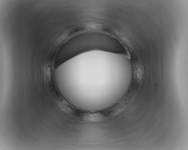 X0000113330716200909141007