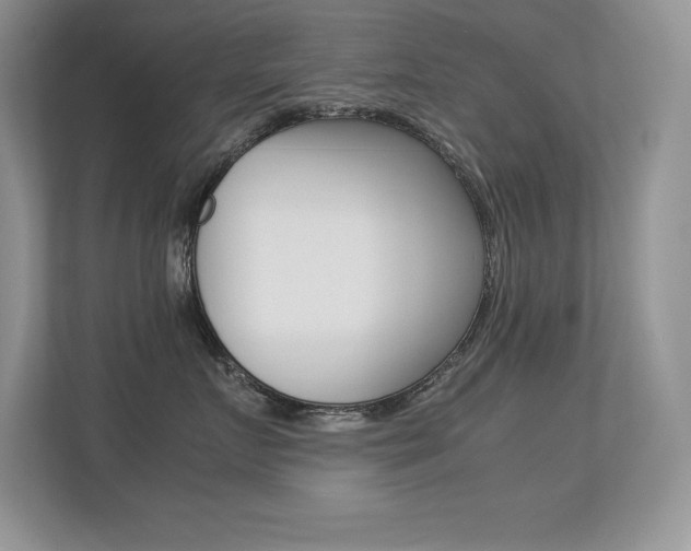 X0000113330719200909141007