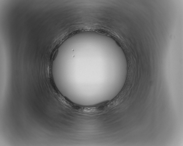 X0000113330720200909141007