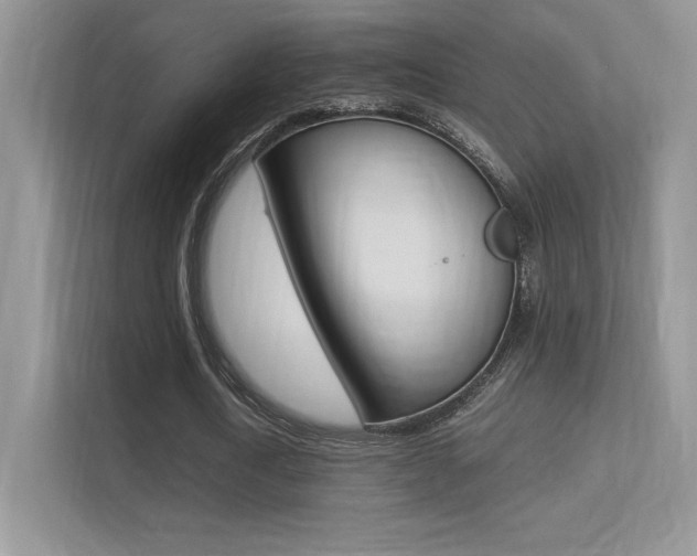 X0000113330722200909141006