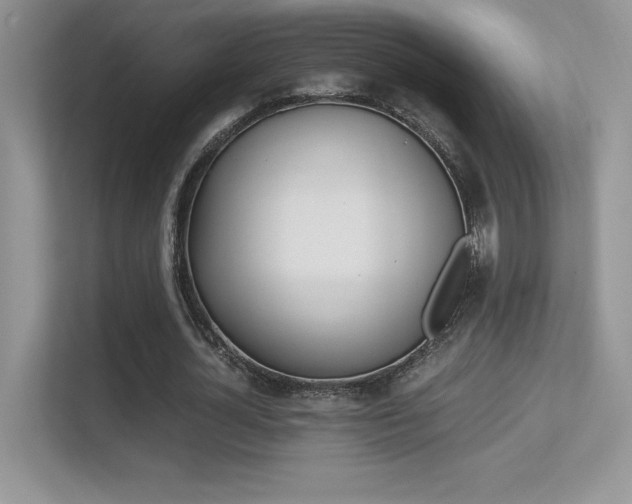 X0000113330724200909141006
