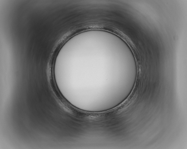 X0000113330725200909141006