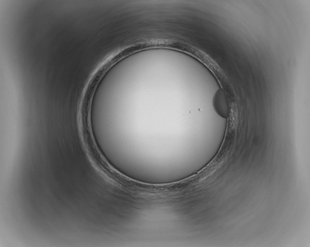 X0000113330726200909141006