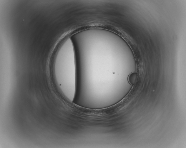 X0000113330727200909141006