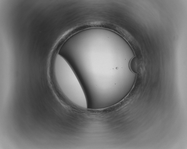 X0000113330728200909141006